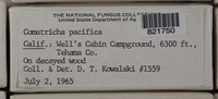 Image Associated With the Occurence